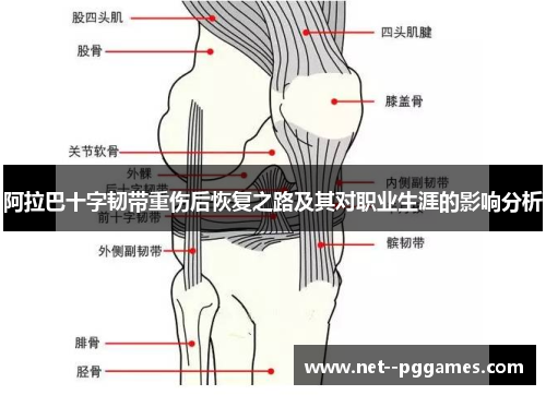 阿拉巴十字韧带重伤后恢复之路及其对职业生涯的影响分析 阿拉巴十字韧带重伤后恢复之路及其对职业生涯的影响分析