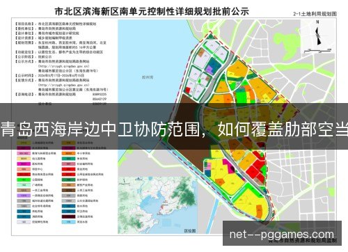 青岛西海岸边中卫协防范围，如何覆盖肋部空当