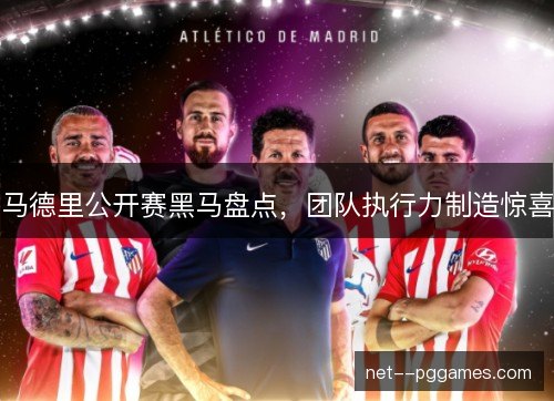 马德里公开赛黑马盘点,团队执行力制造惊喜 马德里公开赛黑马盘点,团队执行力制造惊喜